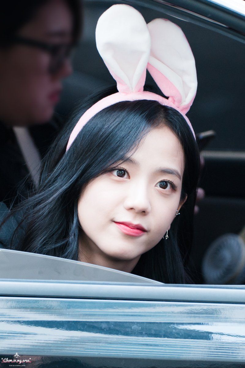 JISOO IN 블랙핑크 지수 입덕