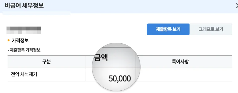 스케일링 가격비교