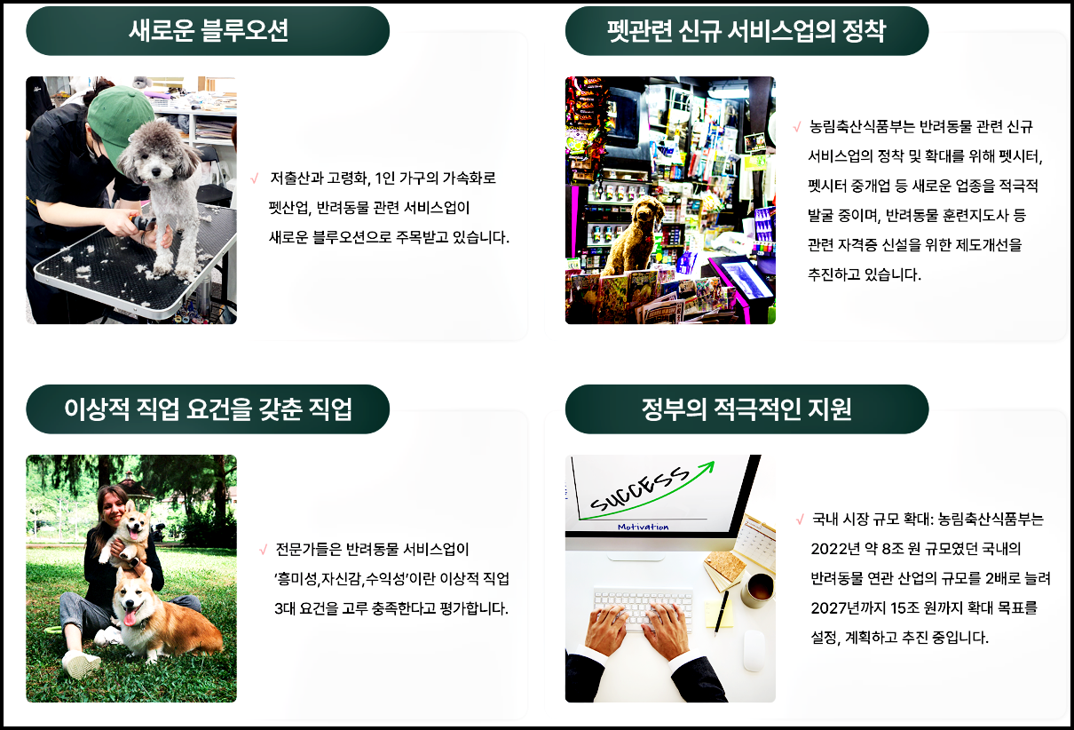 애견미용국비지원
