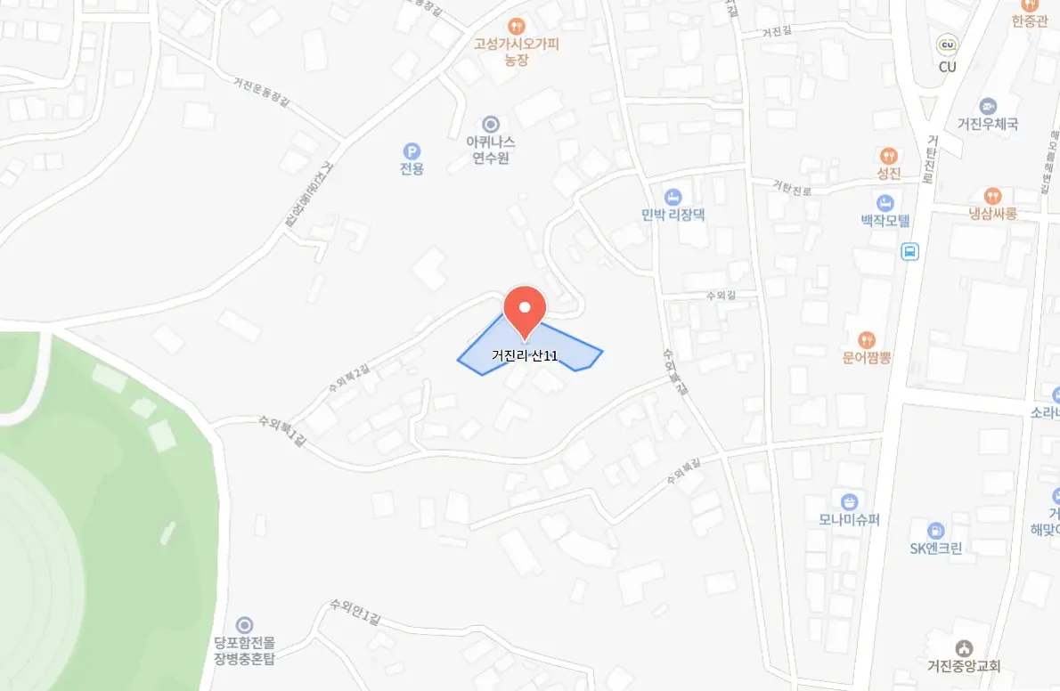 고성통일명태축제