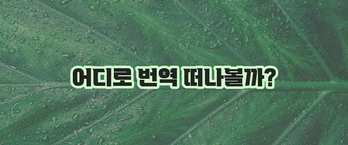 인터넷 번역 사이트 추천
