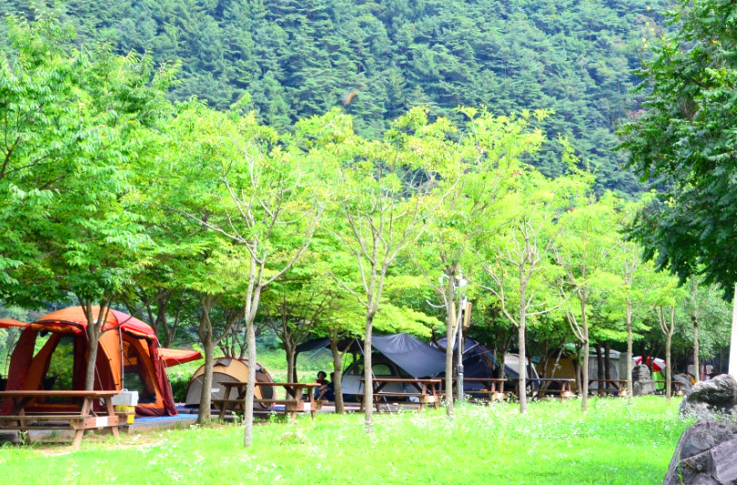 평창 캠핑장