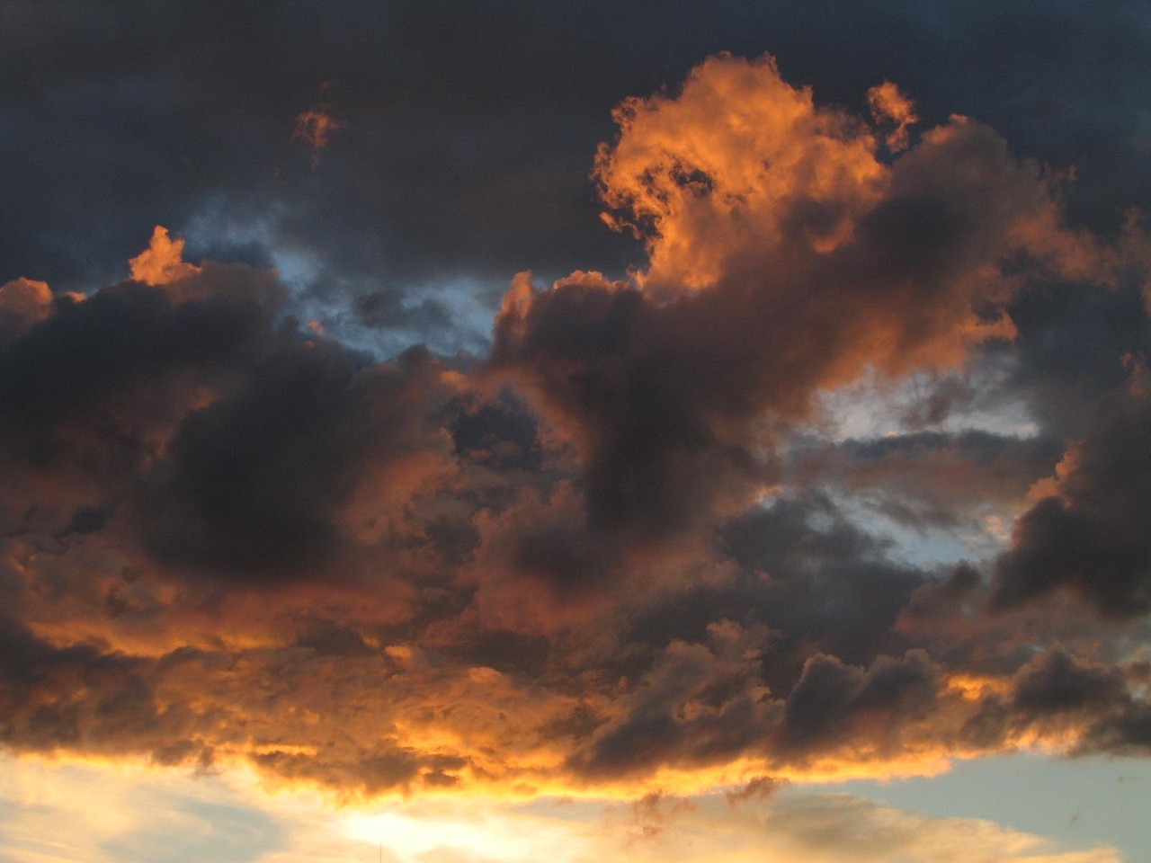 기후 변화와 감염병