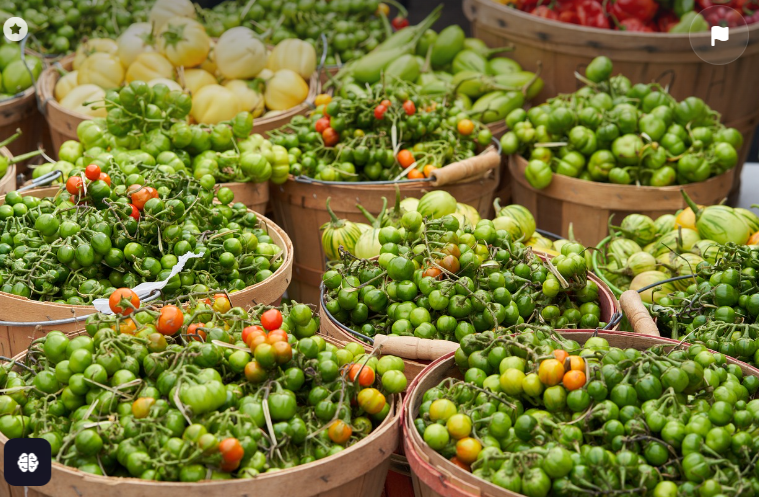 농산물 가공 산업: 가공식품 창업 및 부가가치 높이기