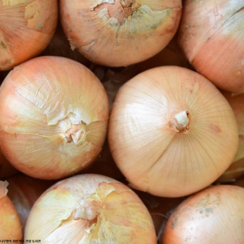 양파껍질