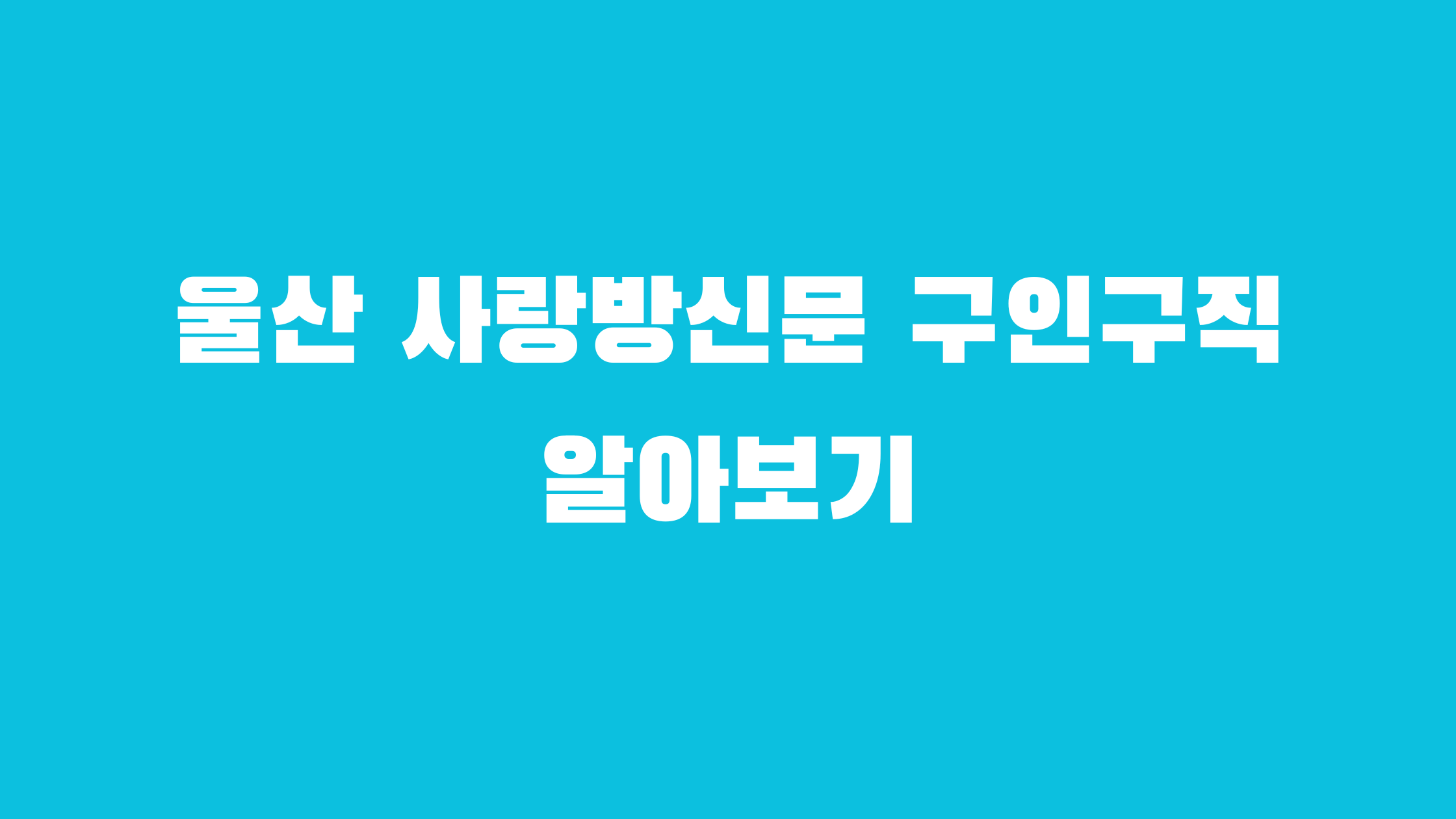 울산 교차로 구인구직