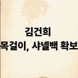 김건희 목걸이, 샤넬백 확보