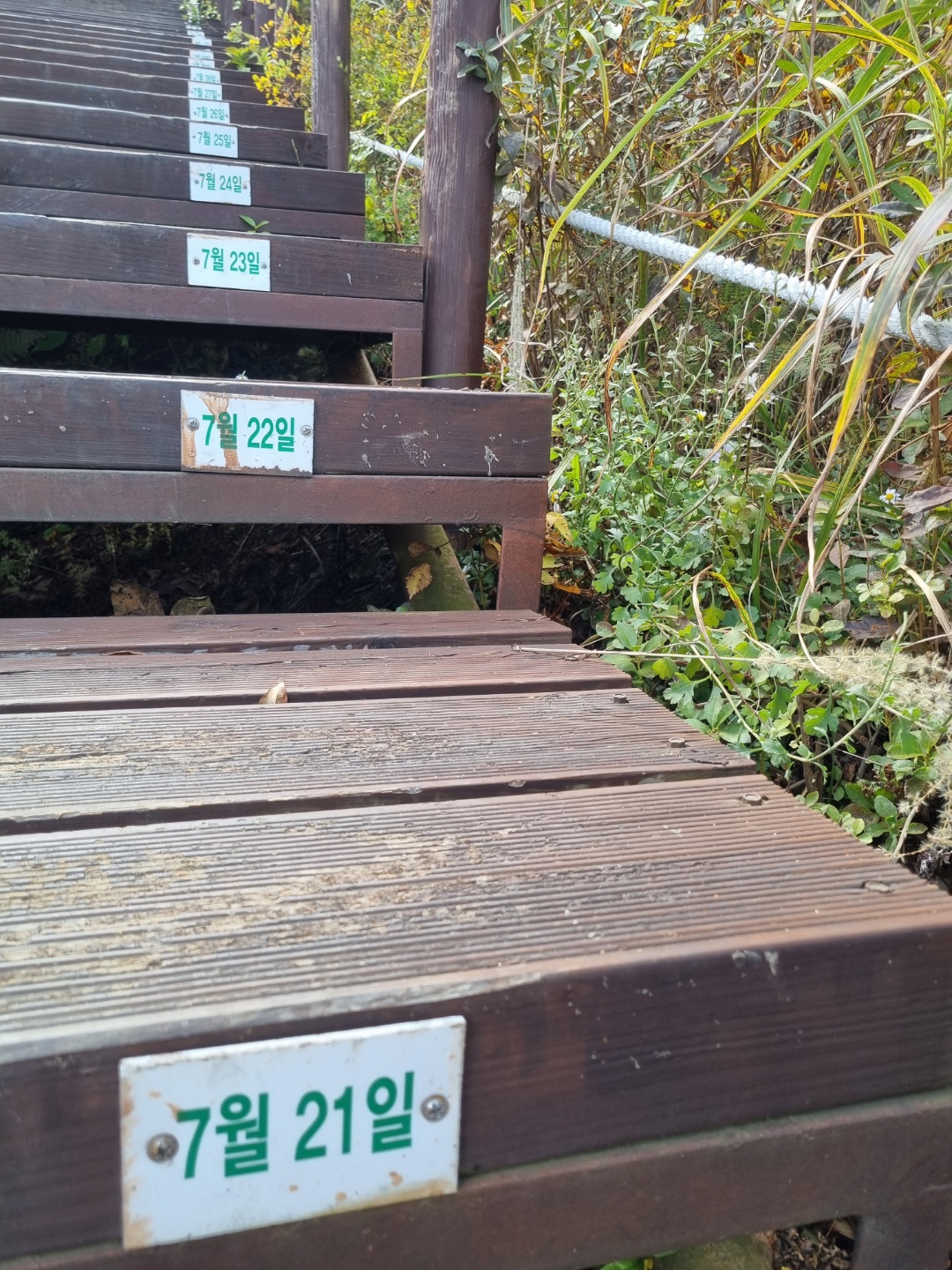 무학산