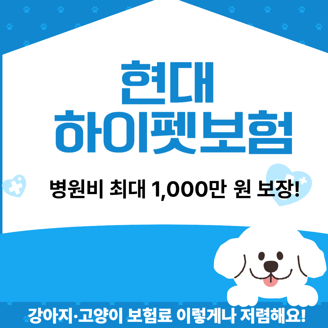 현대 하이펫보험