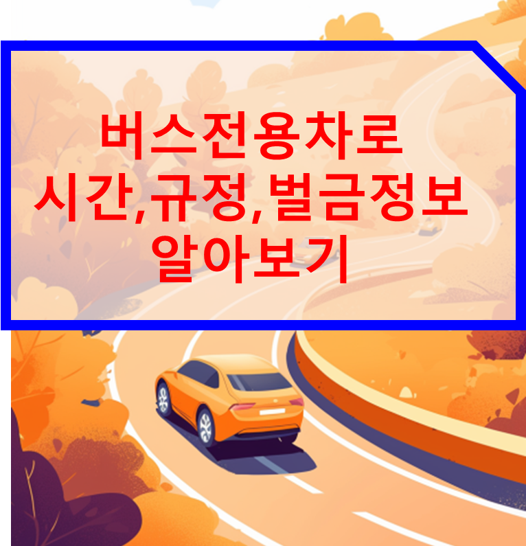 버스전용차로 시간 규정 벌금 정보
