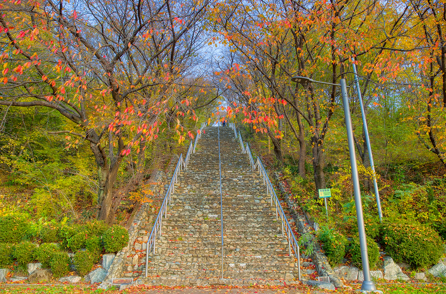 침산공원 돌계단