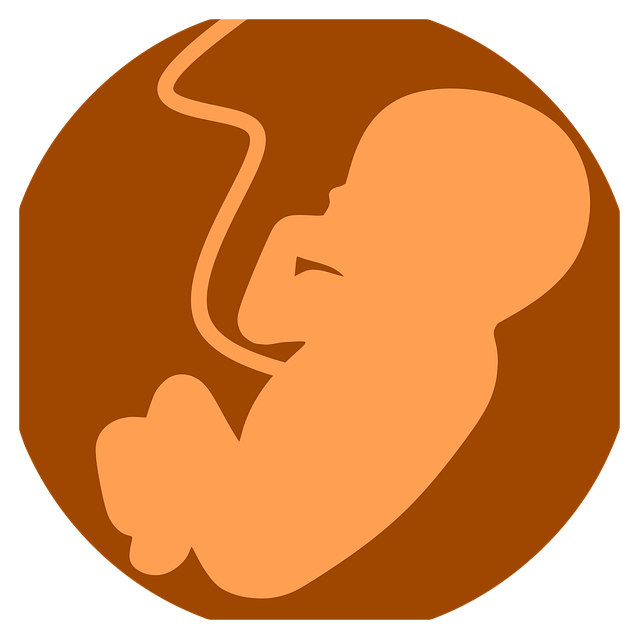 출산전후휴가 대상 확대1