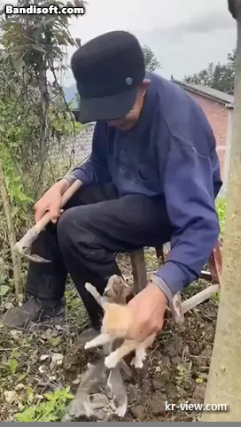 img.webp?credential=yqXZFxpELC7KVnFOS48ylbz2pIh7yKj8&expires=1767193199&allow_ip=&allow_referer=&signature=TbxIjWlDCLjxD%2Bd3NWSxVHewq%2BQ%3D