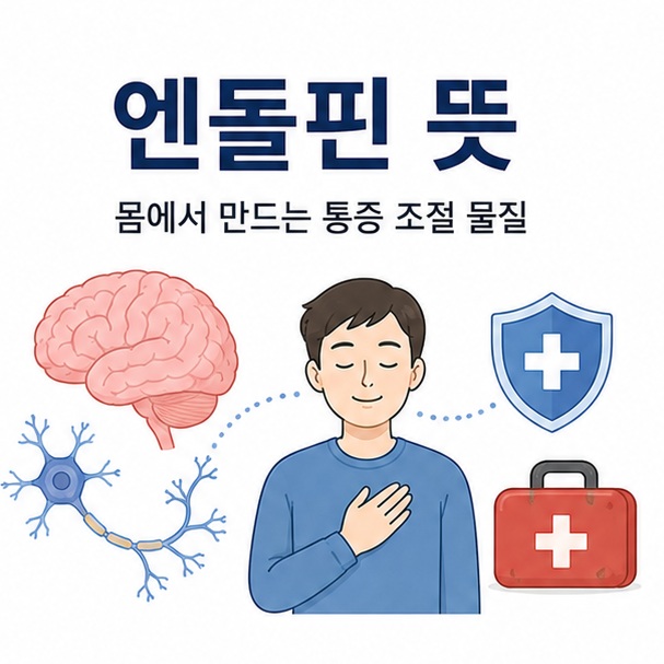 뇌와 신경세포, 편안한 표정의 사람을 함께 배치해 엔돌핀 뜻과 기본 역할을 설명한 대표 이미지