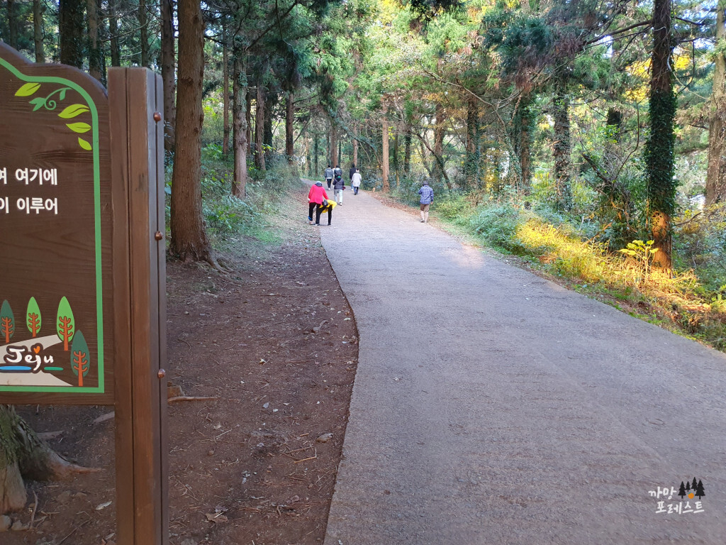 금오름 올라가는 길