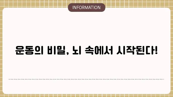 운동 피질 (Motor Cortex)