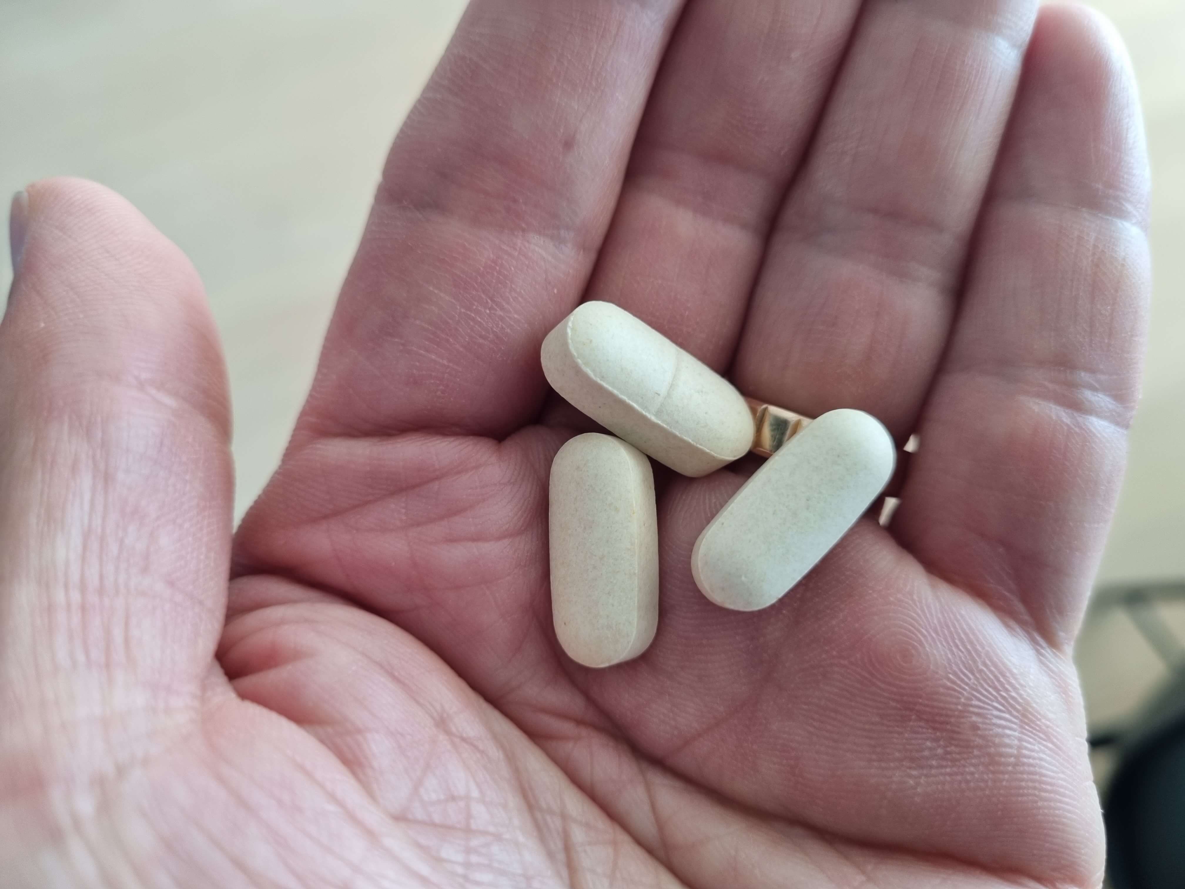 콘드로이친 알약