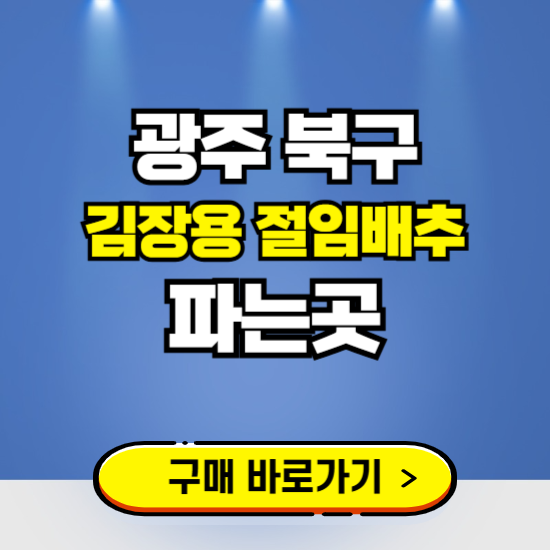 광주 북구 절임배추 사전예약 구입하는곳 ❘ 김장배추 파는곳 가격보기