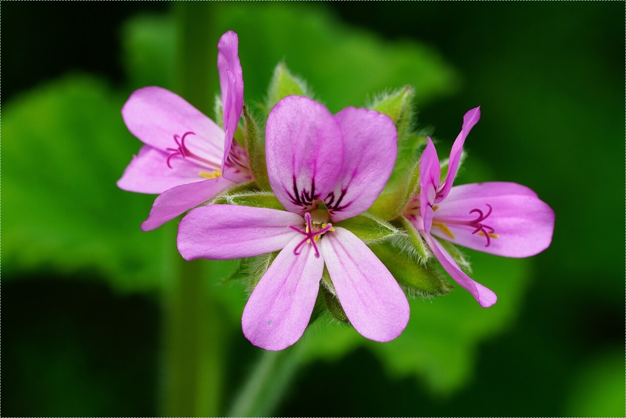 우리은행 정기예금 금리