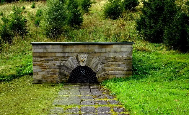 사투리로 고백하면 더 설레는 이유 말투에 담긴 진심과 감성_8