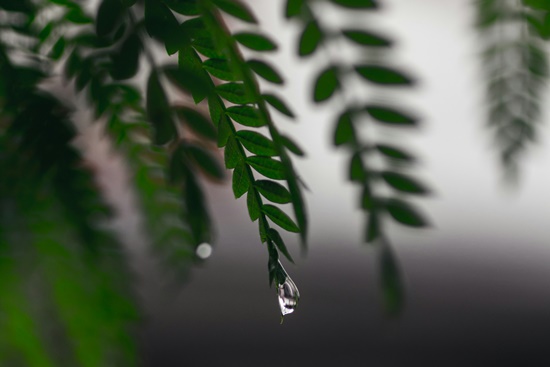 2024년 장마, 시기/기간/강우량/장마대비/건강관리/교통대비/장마와 휴가