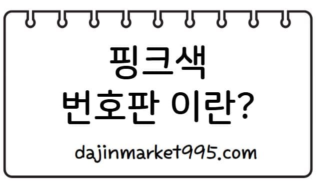 다자녀 핑크색 번호판, 저출산 시대 실질 지원책?!