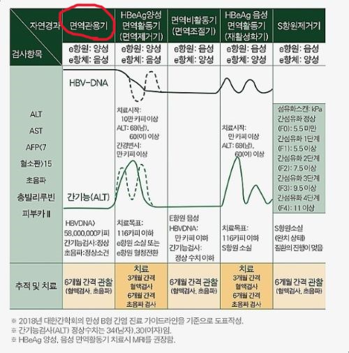 B형 간염 증상에 따른 간기능 검사 방법