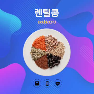 렌틸콩