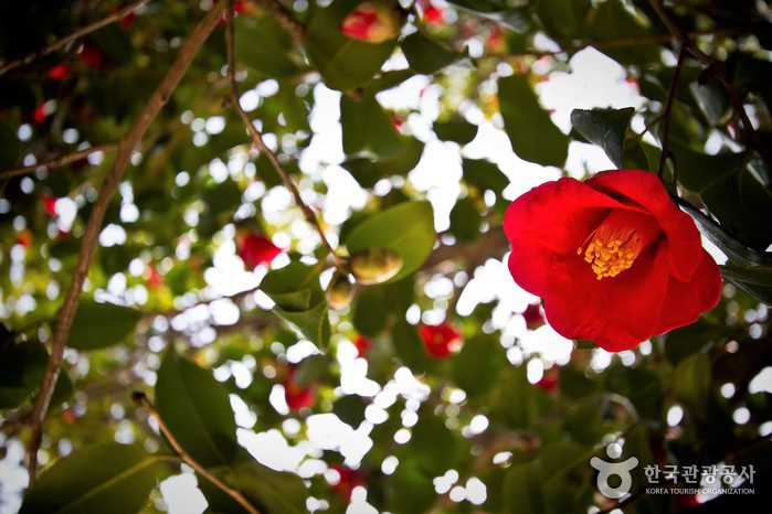 2024 가을 여행지 단풍 명소 추천