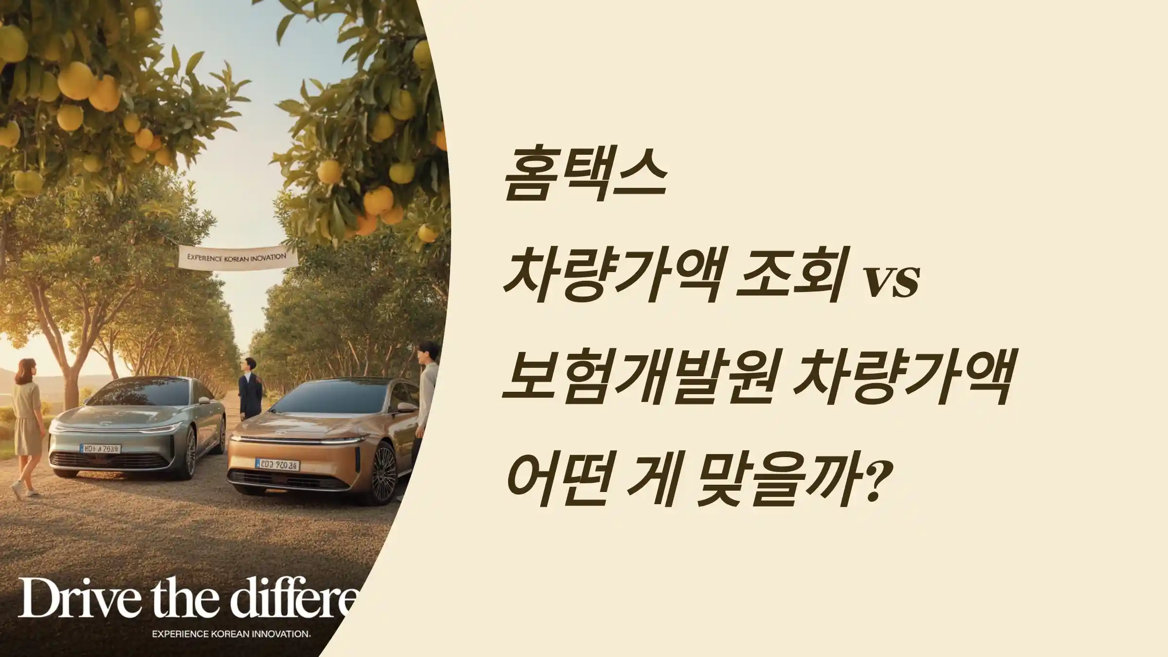홈택스 차량가액 조회 vs 보험개발원 차량가액, 어떤 게 맞을까?