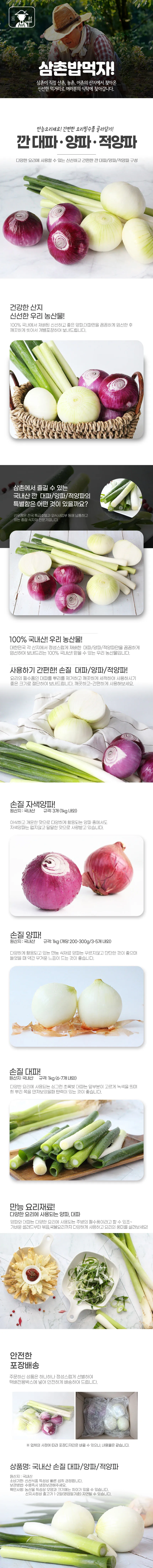 적양파 재배 모종 심기 재식 거리 질소 과다 주의_4