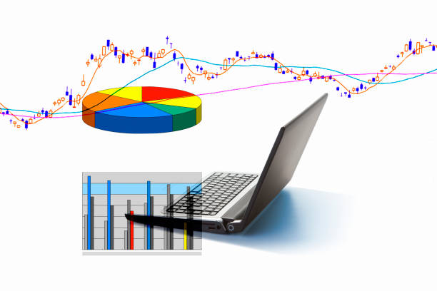 데이터 분석가의 커리어 경로