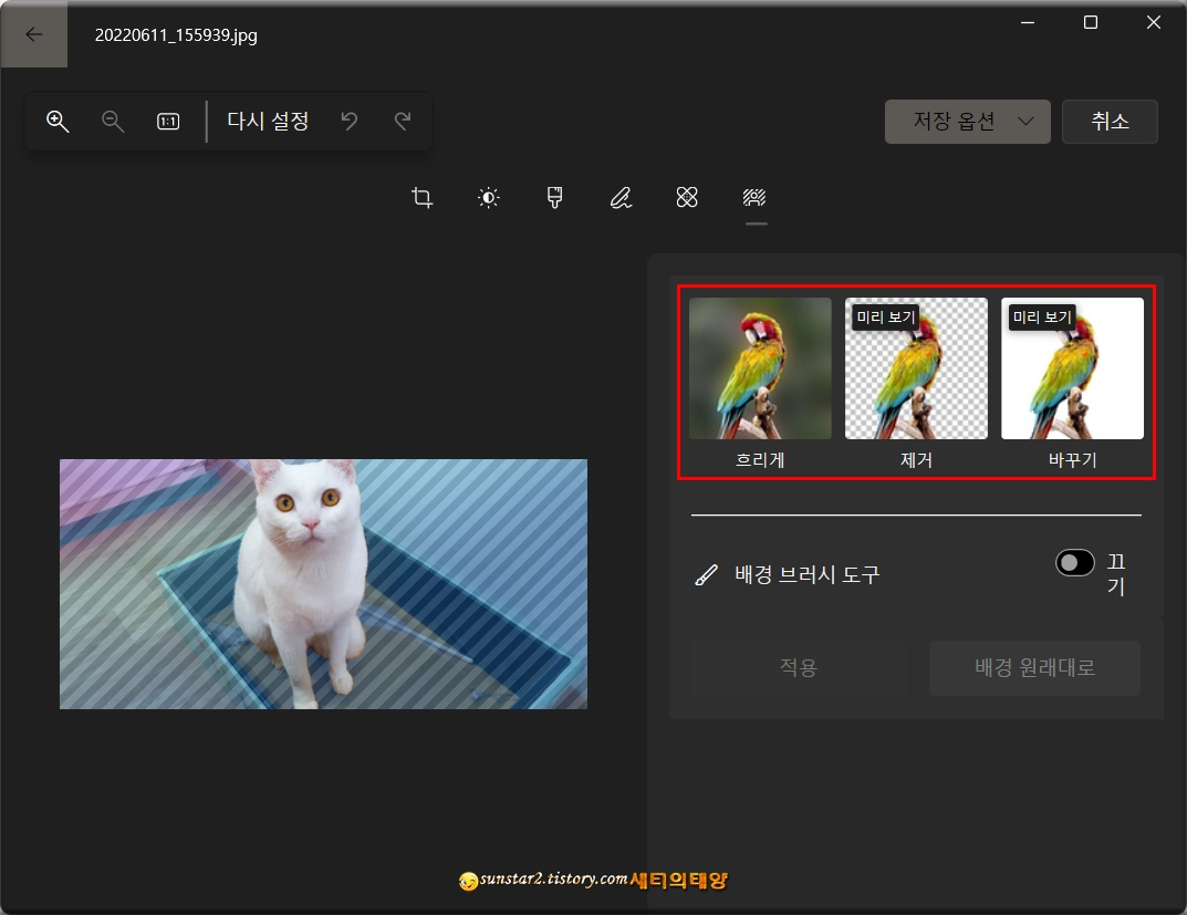 윈도우11_사진앱으로배경을_제거하거나_흐리게처리하기_8