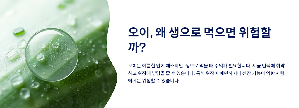 오이, 왜 생으로 먹으면 위험할까?