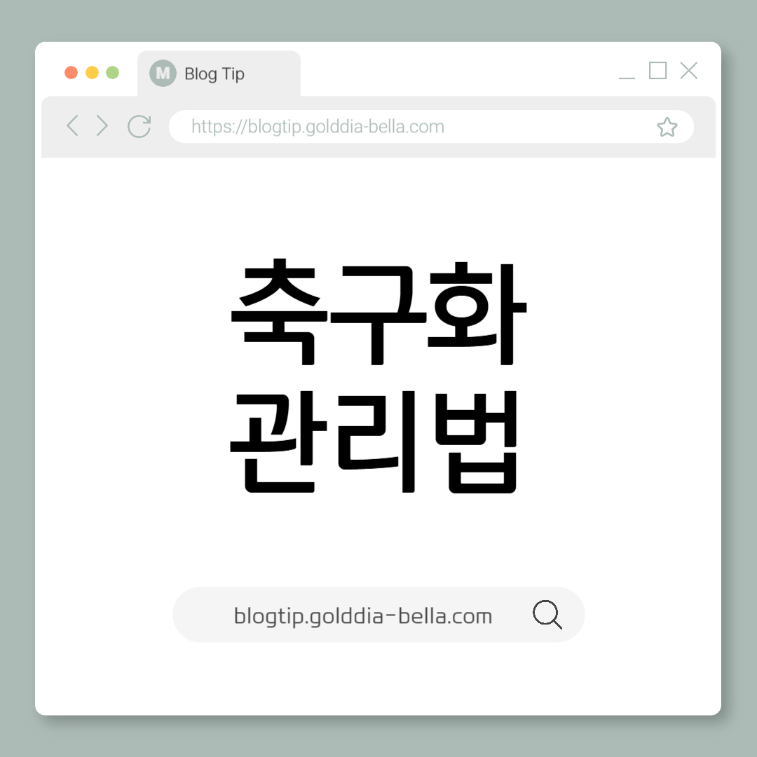 축구화 관리법