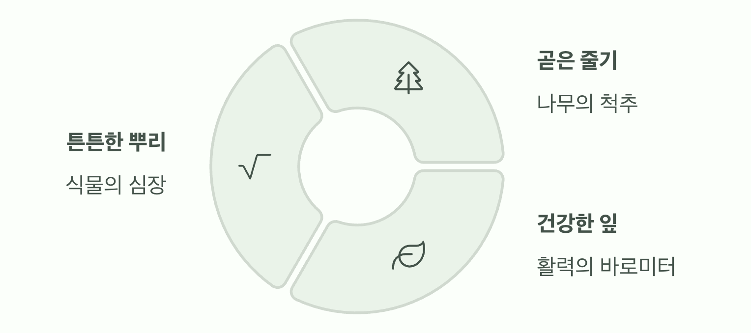 이제 당신도 실패 없는 선택을 할 수 있습니다