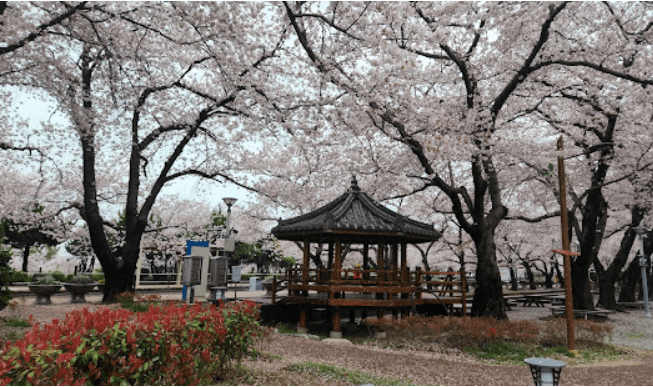 경화역
