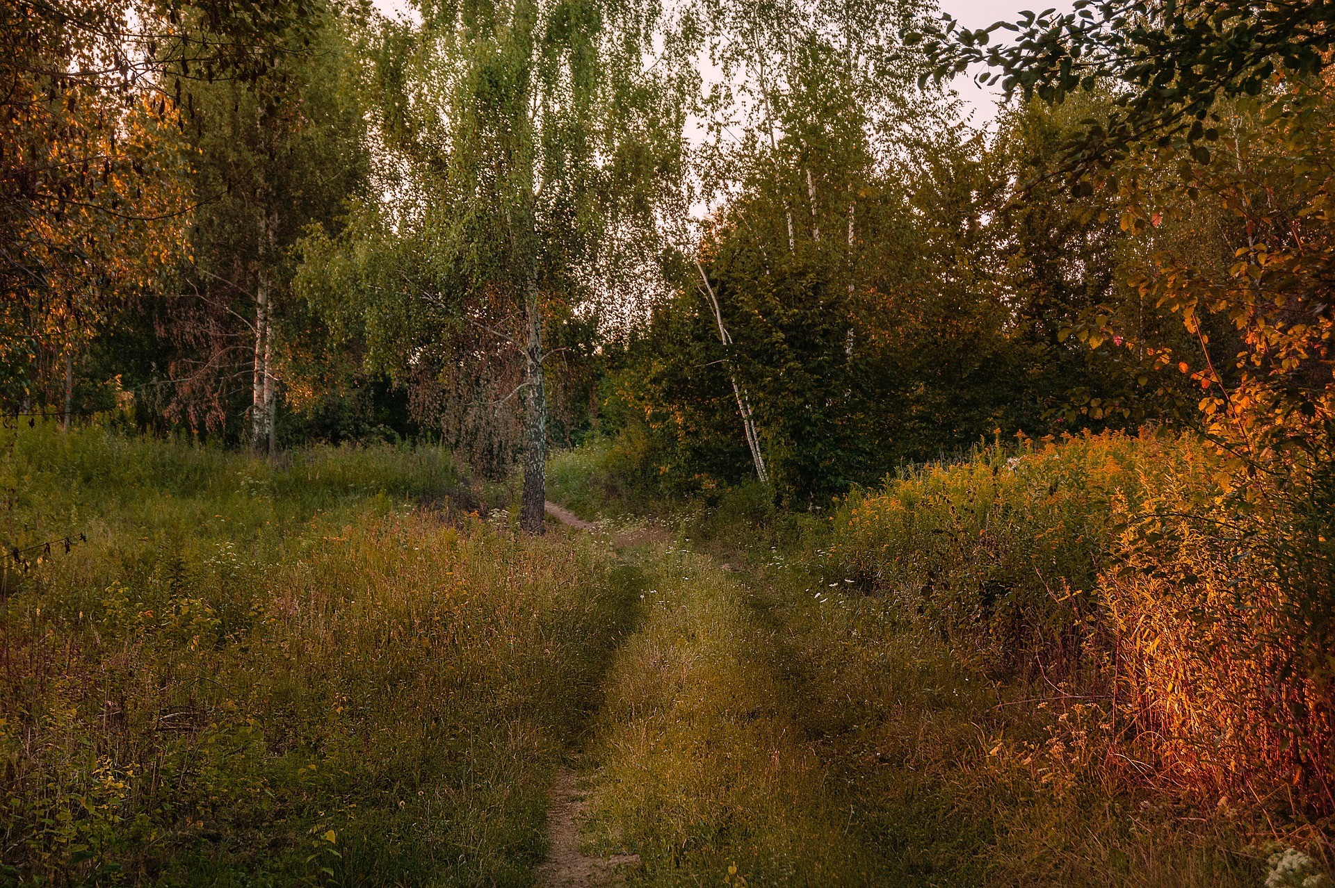 근력보다 중요한 ‘근육 사용 능력’