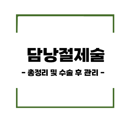 담낭절제술 – 수술 개요, 회복 과정 및 수술 후 관리