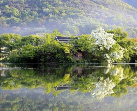 경남 여행지 추천 ❘ 밀양 가볼만한 곳 베스트 10. 위양지