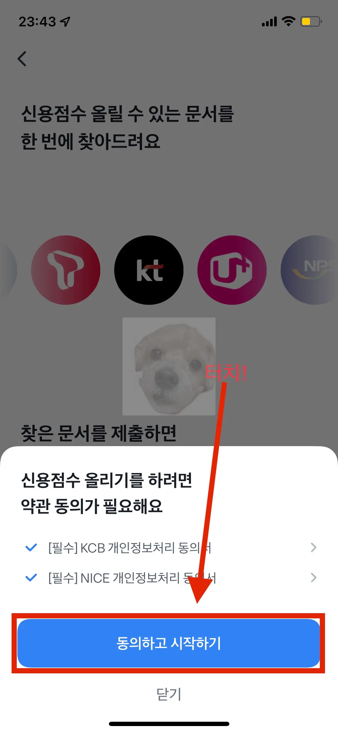 개인정보에 대한 동의