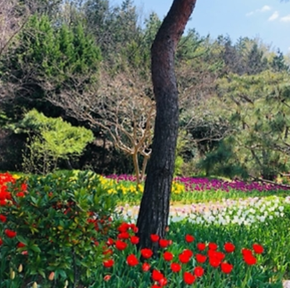 4월 전국 축제 일정