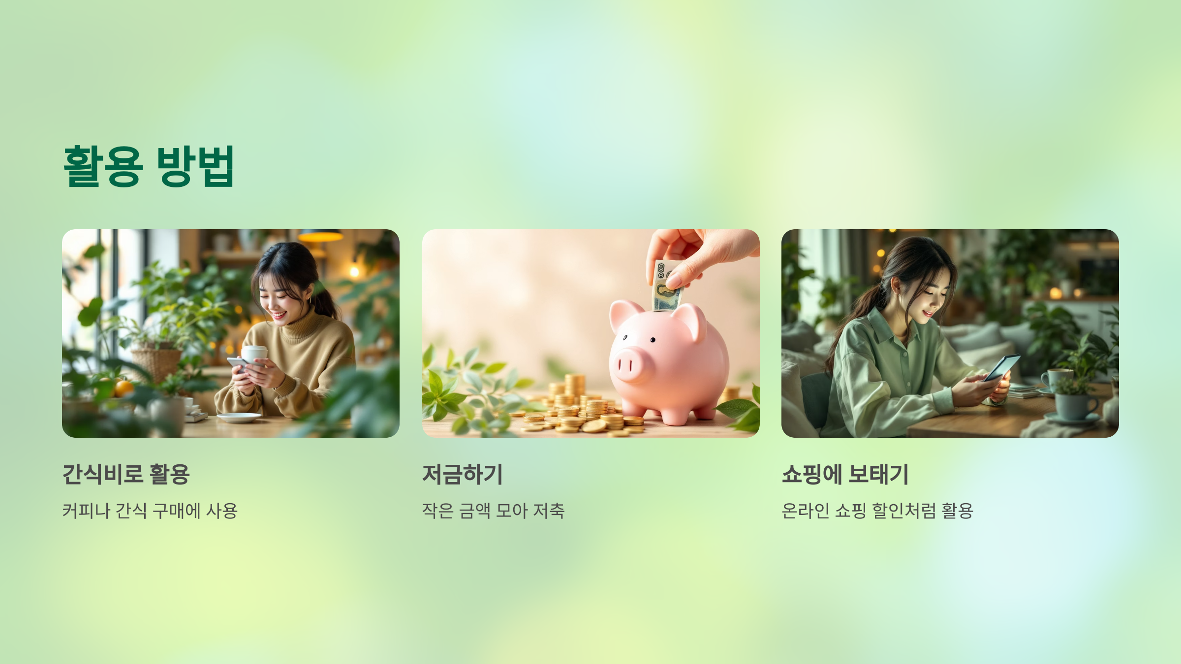 케이뱅크 돈나무