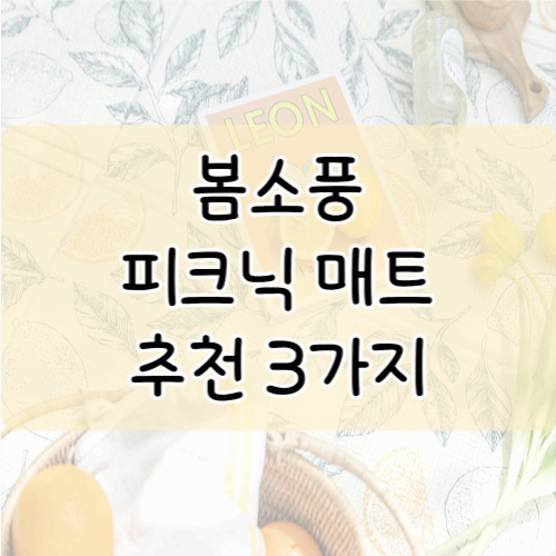 아이와 함께하는 5월 봄소풍, 피크닉 매트 추천 3가지
