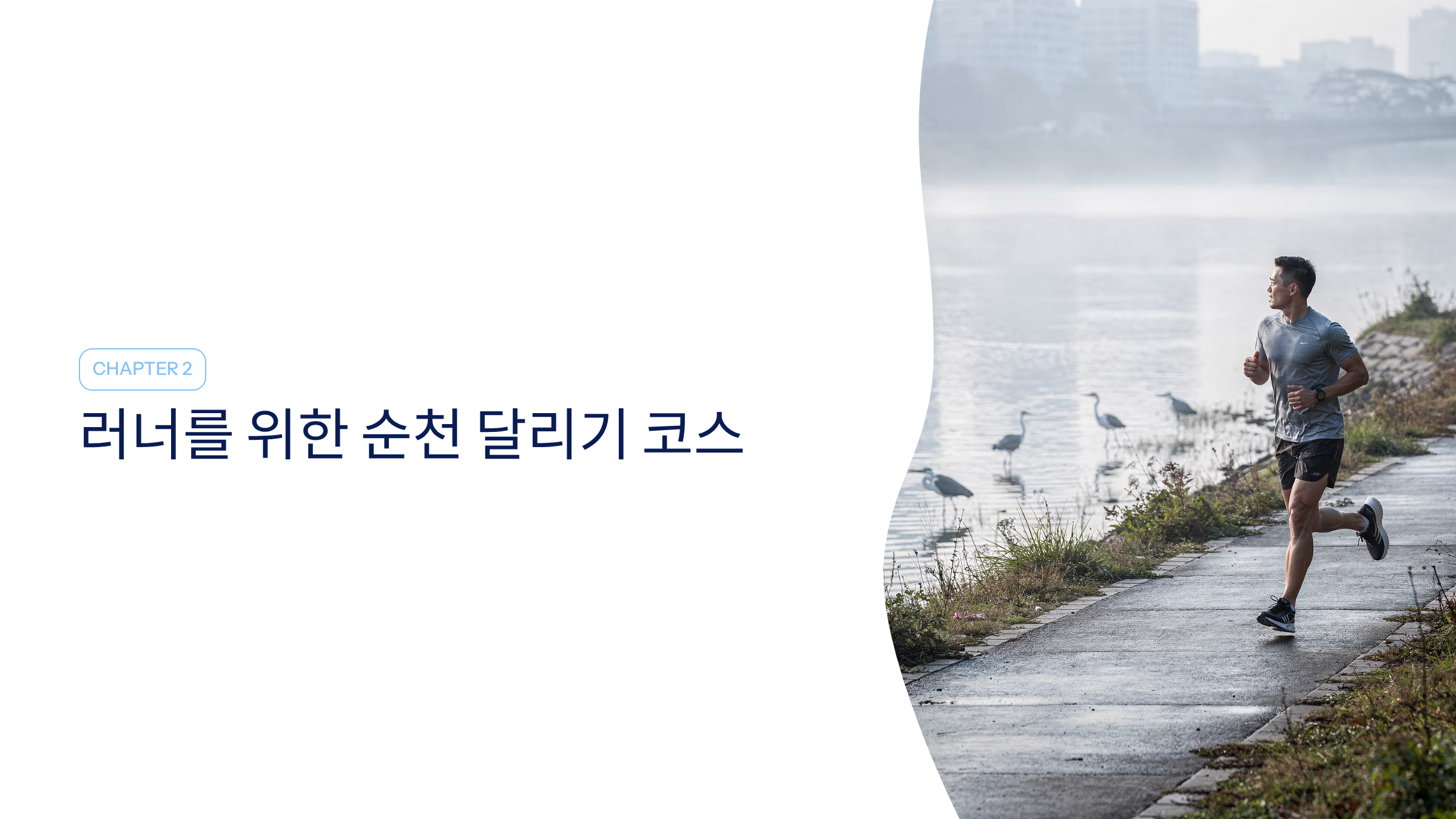 순천 근교 산책 달리기 트레킹 코스 추천 ❘ 습지부터 산줄기까지 걷는 여행