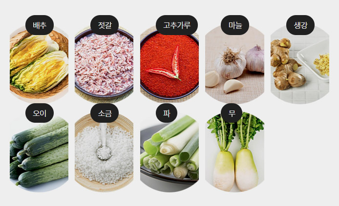 배추김치 재료