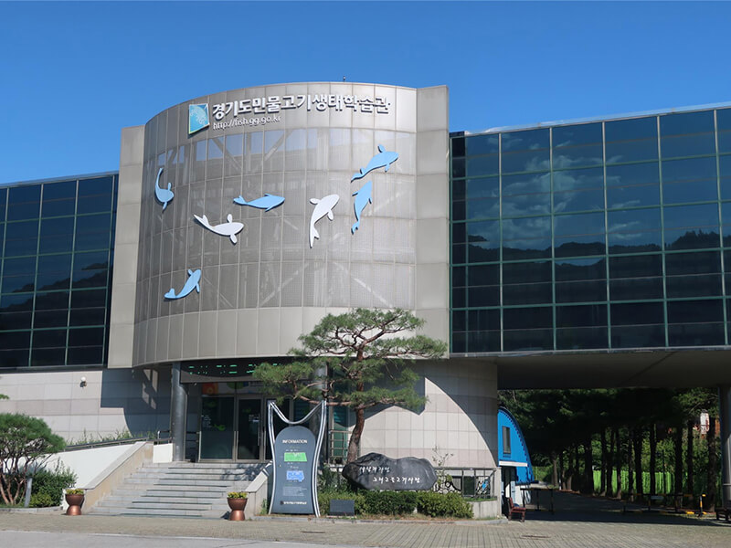 민물고기 생태체험학교