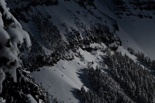 겨울 산의 모습