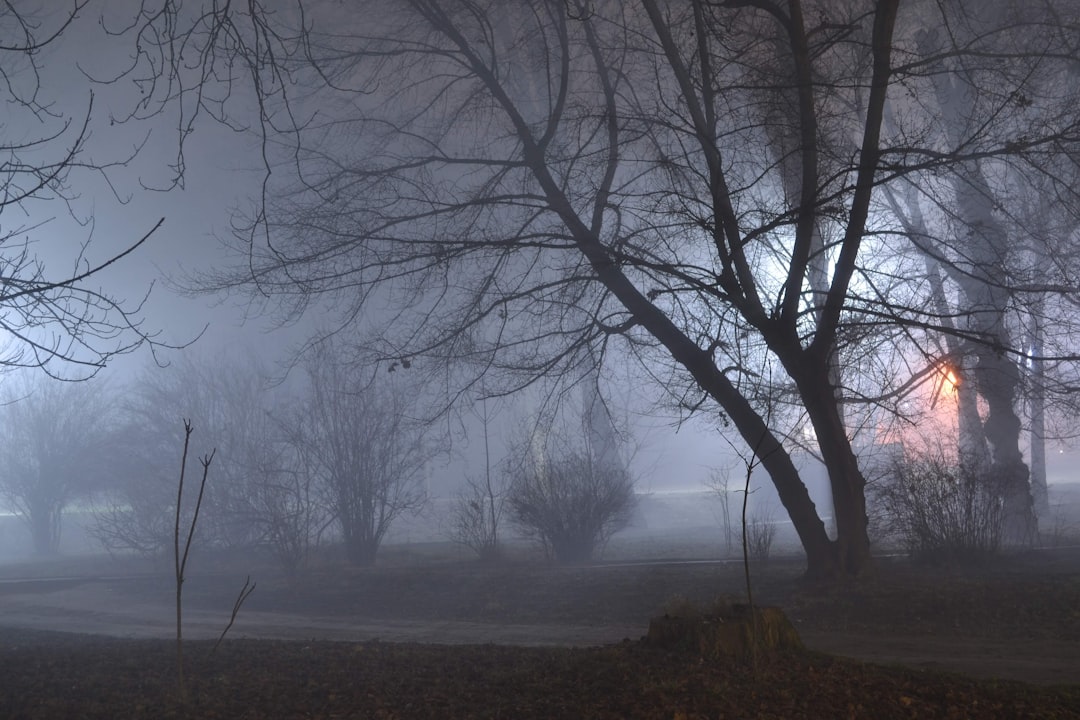 Fog light