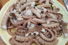 산낙지